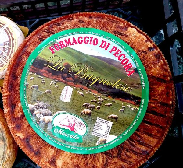 Pecorino canestrato bagnolese